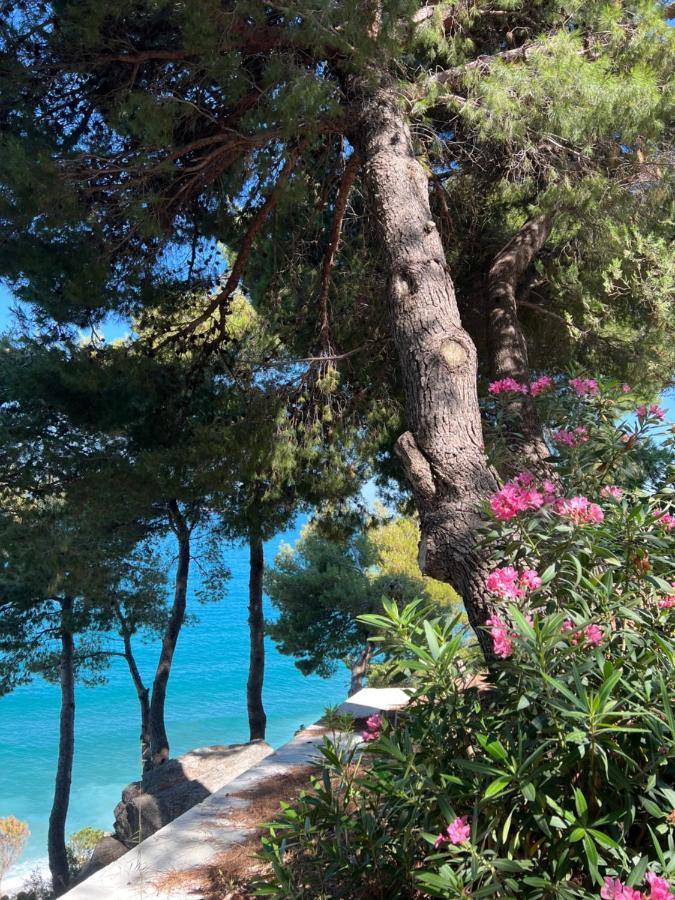 Sunny Breeze Apartment Vlorë Eksteriør billede